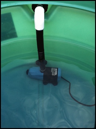 aquaponics 101 part 3